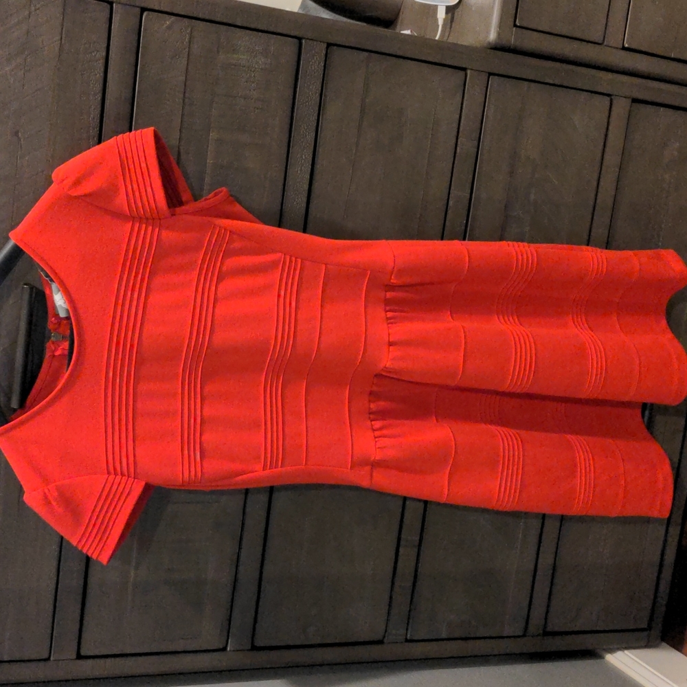 Anthropology Savoy Red Fit & Flare Dress Size 8